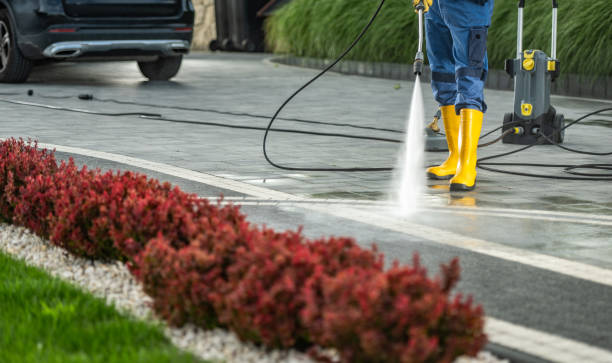 Best Fence Cleaning and Maintenance in Santa Clarita, CA